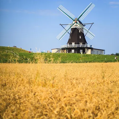 Nordermuehle * Pellworm